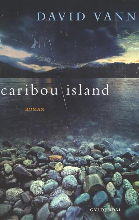 Caribou Island af David Vann