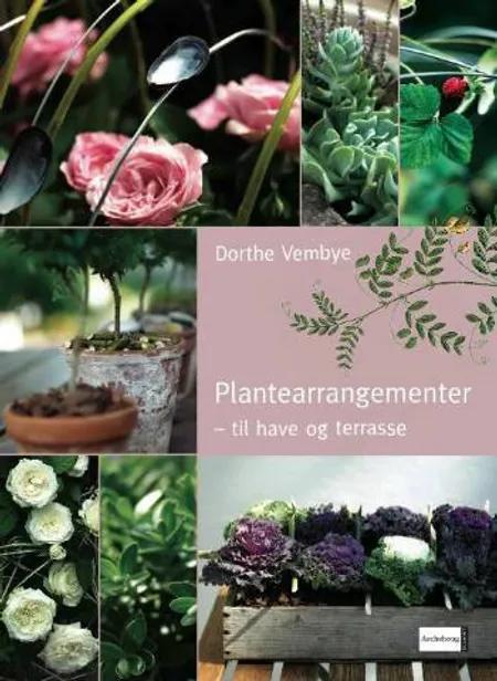 Plantearrangementer til have og terrasse af Dorthe Vembye