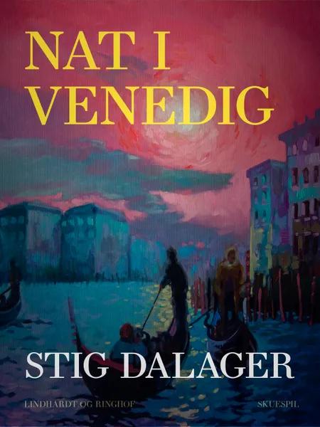 Nat i Venedig af Stig Dalager