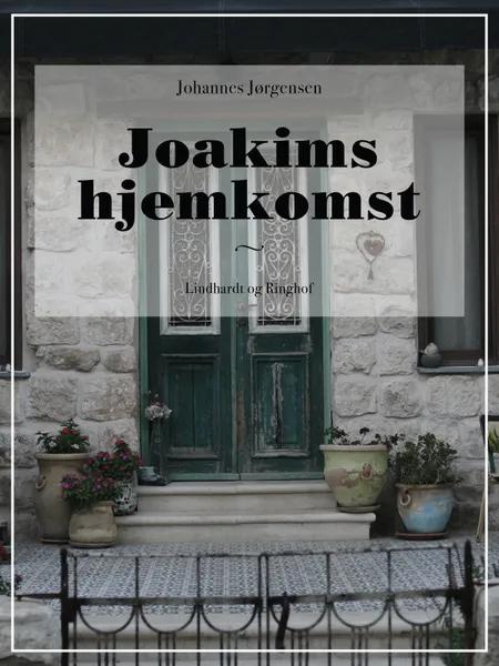 Joakims hjemkomst af Johannes Jørgensen