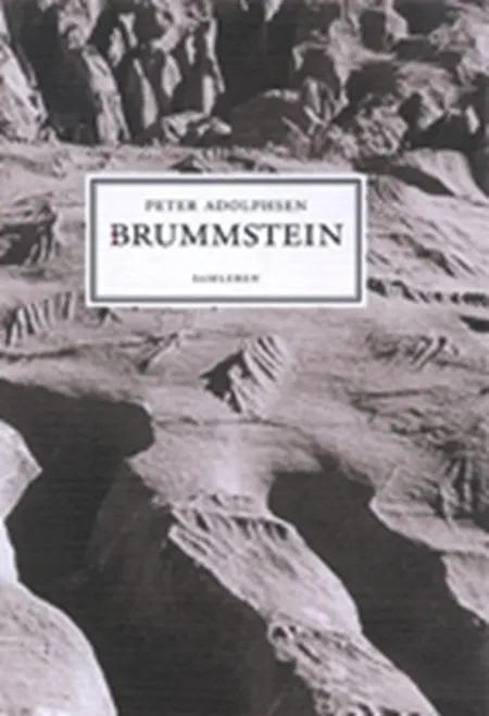 Brummstein af Peter Adolphsen