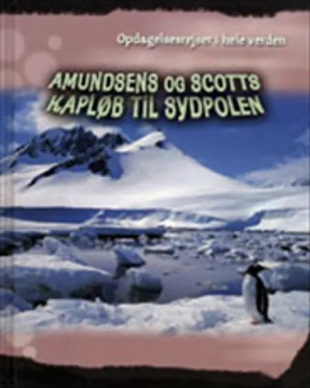 Amundsens og Scotts kapløb til Sydpolen af Liz Gogerly