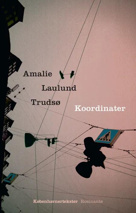 Koordinater af Amalie Laulund Trudsø