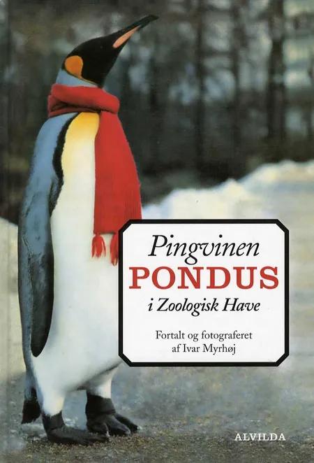 Pingvinen Pondus i Zoologisk Have af Ivar Myrhøj