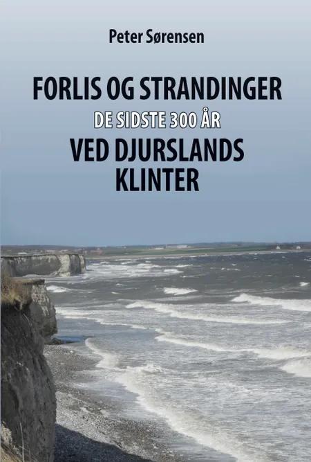 Forlis og strandinger de sidste 300 år ved Djurslands klinter af Peter Sørensen
