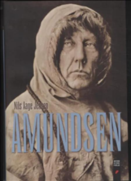 Amundsen af Nils Aage Jensen
