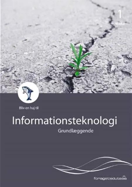 Grundlæggende informationsteknologi af Palle Bruselius