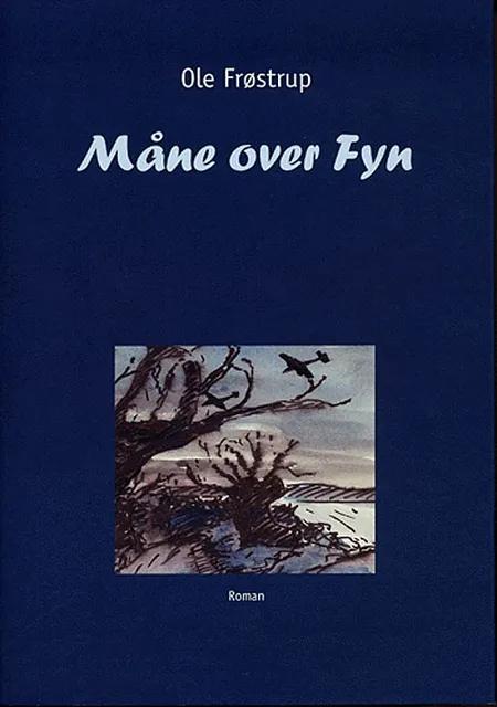 Måne over Fyn af Ole Frøstrup