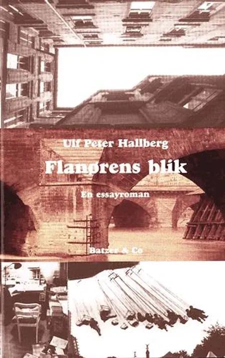 Flanørens blik af Ulf Peter Hallberg