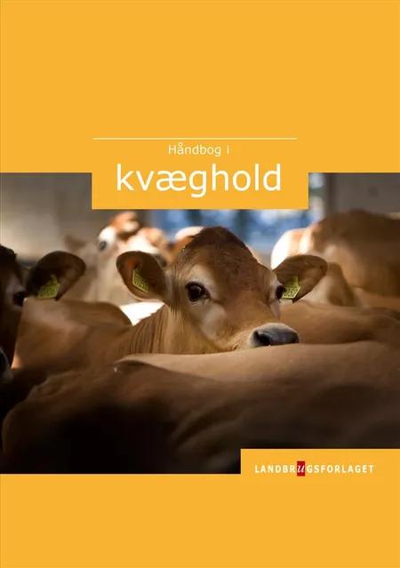 Håndbog for kvæghold af Dansk Landbrugsrådgivning