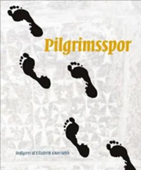 Pilgrimsspor af Martin Fog-Nielsen