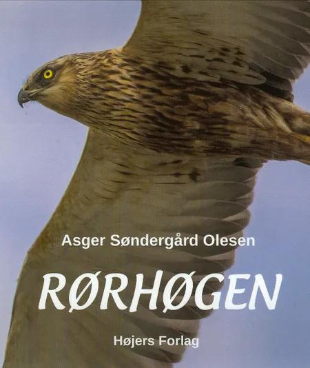 Rørhøgen af Asger Søndergård Olesen