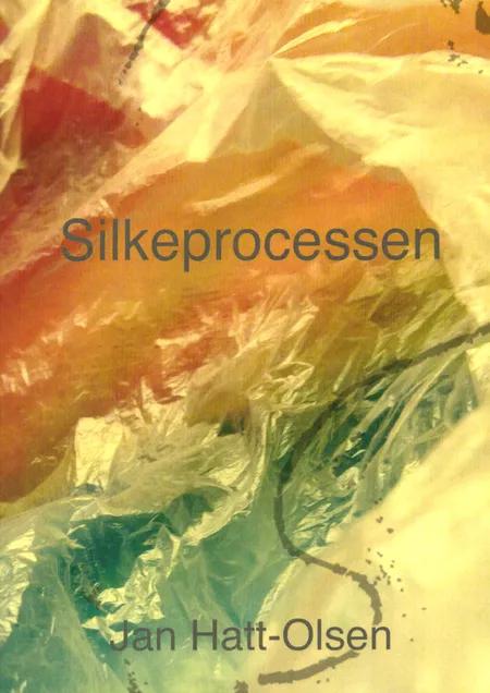 Silkeprocessen af Jan Hatt-Olsen