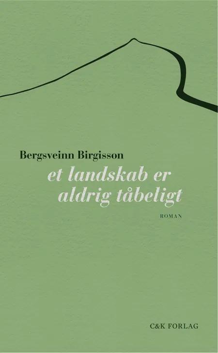 Et landskab er aldrig tåbeligt af Bergsveinn Birgisson
