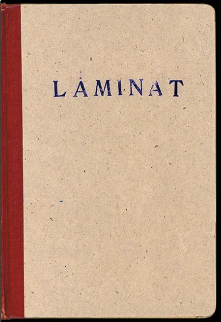 Laminat af Lasse Krog Møller
