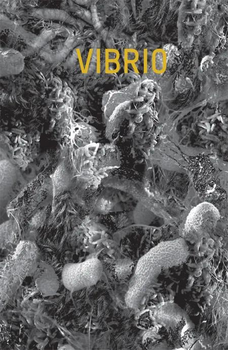 Vibrio af Glenn Christian