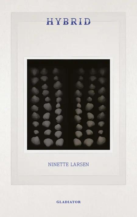 Hybrid af Ninette Larsen