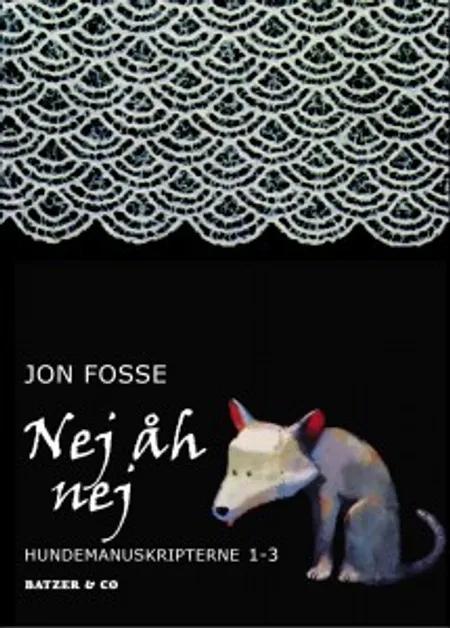 Nej åh nej af Jon Fosse