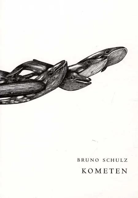 Kometen af Bruno Schulz