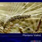Plantens vækst