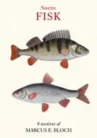 SØENS FISK Kortmappe af Marcus Elieser Bloch