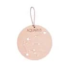 Zodiac Constellation - Aquarius