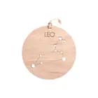 Zodiac Constellation - Leo