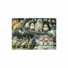 Dækkeserviet plast Beskow af Hjelm Förlag