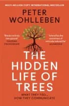 The Hidden Life of Trees: What They Feel, How They Communicate