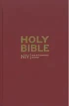 Holy Bible - New International Version