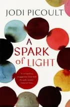 A Spark of Light - Jodi Picoult