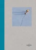 Lonely Planet Small Blue Notebook