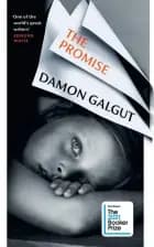 The Promise af Damon Galgut