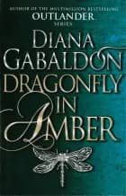 Dragonfly in Amber
