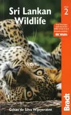 Sri Lankan Wildlife