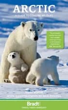 The Arctic