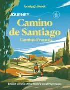 Journey Camino de Santiago: Camino Frances