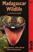 Madagascar Wildlife