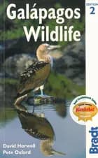 Galápagos Wildlife