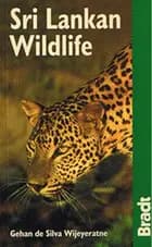 Sri Lankan Wildlife