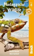 Madagascar Wildlife