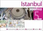 Istanbul Popout Map