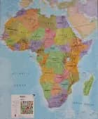 Africa wallmap