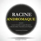 Andromaque de Racine