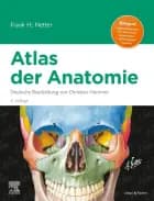 Netter Atlas der Anatomie af Frank H. Netter