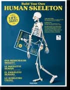 Build Your Own Human Skeleton - Life Size!
