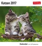 Katzen Postkortkalender 2017