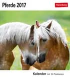 Pferde Postkortkalender 2017