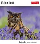 Eulen Postkkortkalender 2017