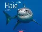 Haie - Sharks Calendar 2015
